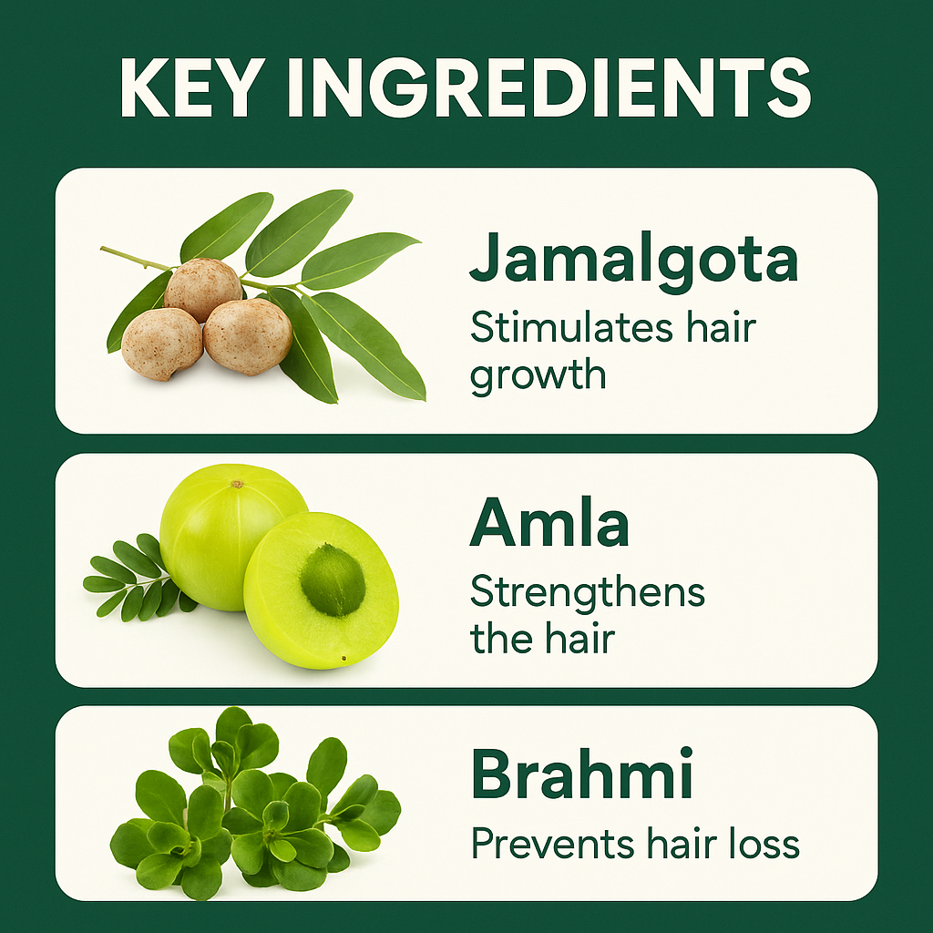 Jamalgota Herbal Hair Growth Powder - (BUY 1 GET 1 FREE🔥🔥)