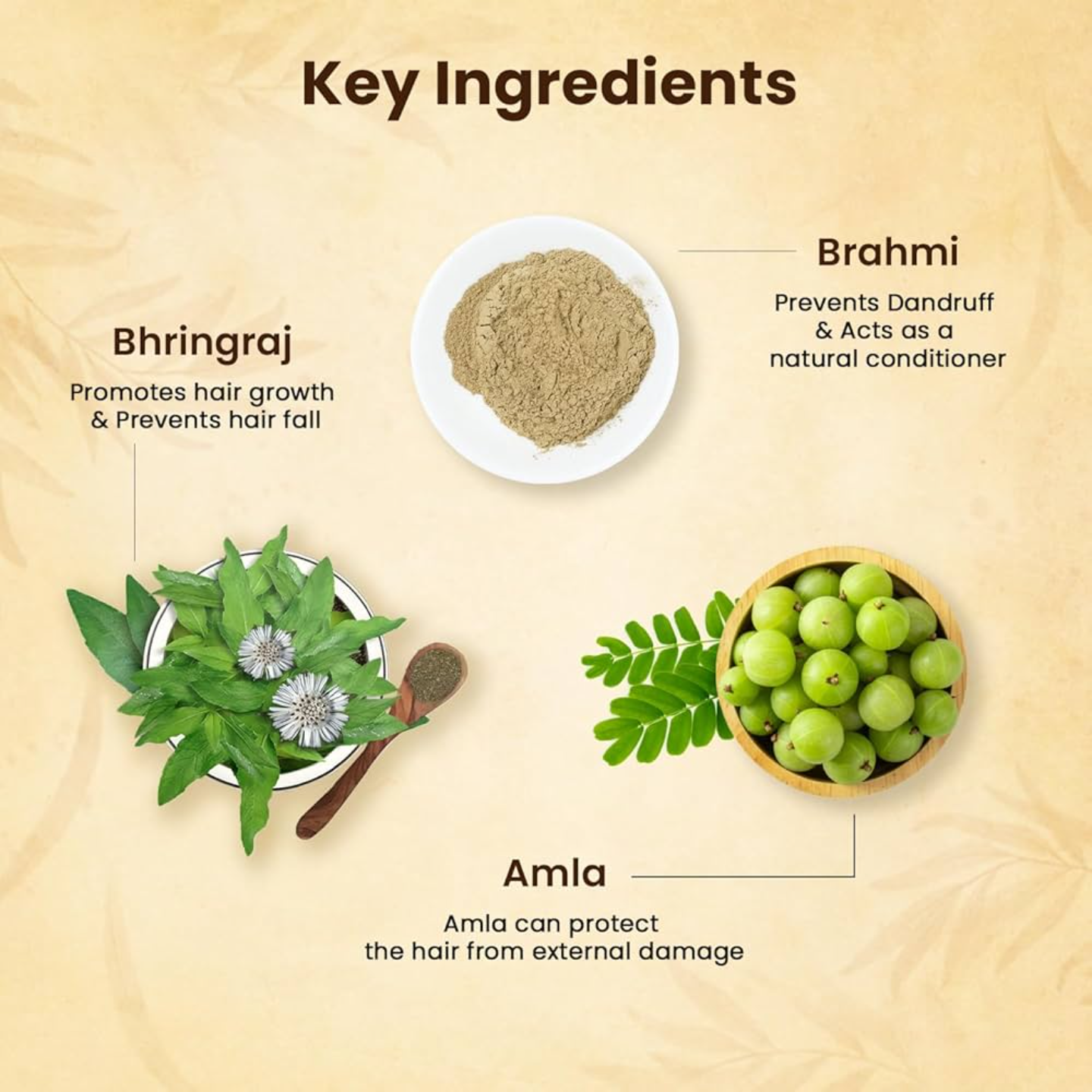 Jamalgota Ayurvedic Hair Powder 🌱✨- (Buy 1 Get 1 FREE 🔥🔥)