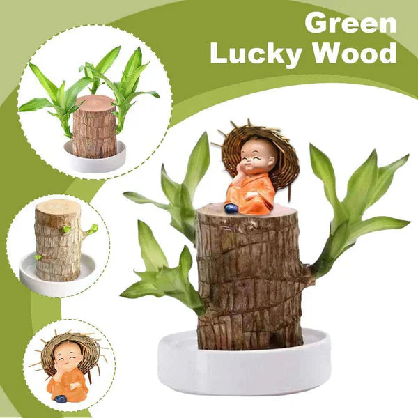 Brazilian Lucky Wood - Bring Fortune & Good Luck