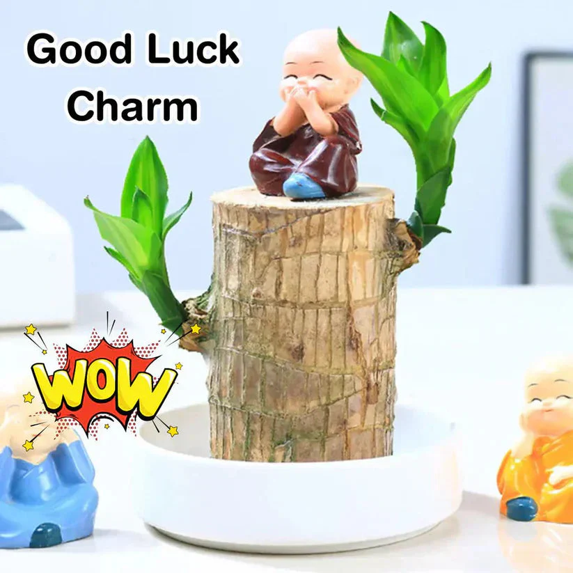 Brazilian Lucky Wood - Bring Fortune & Good Luck