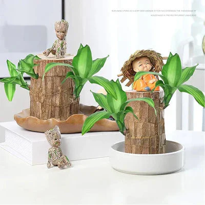 Brazilian Lucky Wood - Bring Fortune & Good Luck