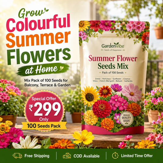 Summer Flower Seeds Mix – 100 Seeds Pack for Balcony, Terrace & Home Garden