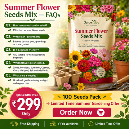 Summer Flower Seeds Mix – 100 Seeds Pack for Balcony, Terrace & Home Garden