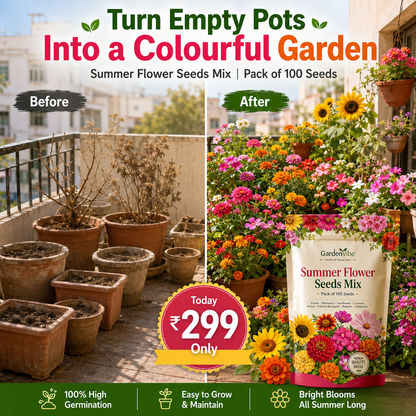 Summer Flower Seeds Mix – 100 Seeds Pack for Balcony, Terrace & Home Garden