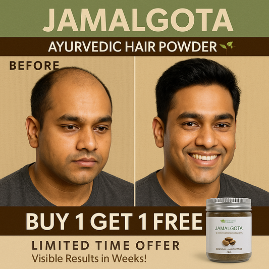 Jamalgota Ayurvedic Hair Powder 🌱✨- (Buy 1 Get 1 FREE 🔥🔥)