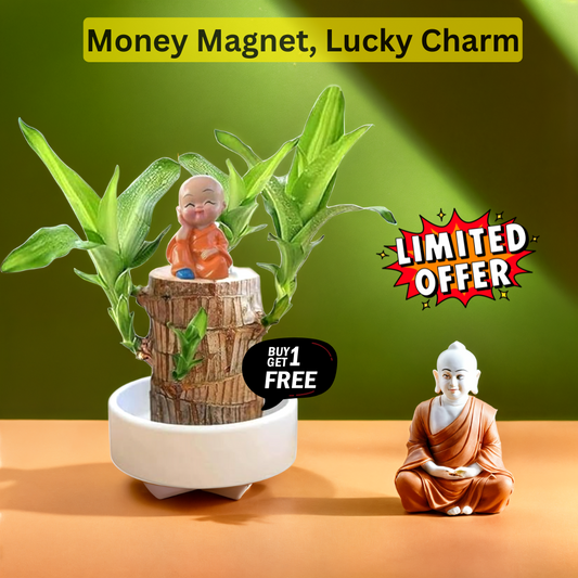 Brazilian Lucky Wood - Bring Fortune & Good Luck